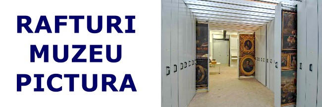Rafturi pictura-2