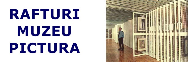 Rafturi pictura-4